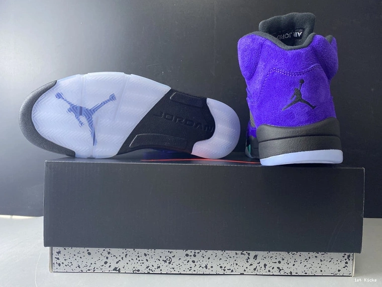  “Alternate 5 Jordan Grape” 136027-500 Air 0204